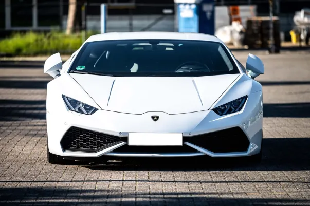 카지노 도티 빙고 안드로이드/iOS 앱